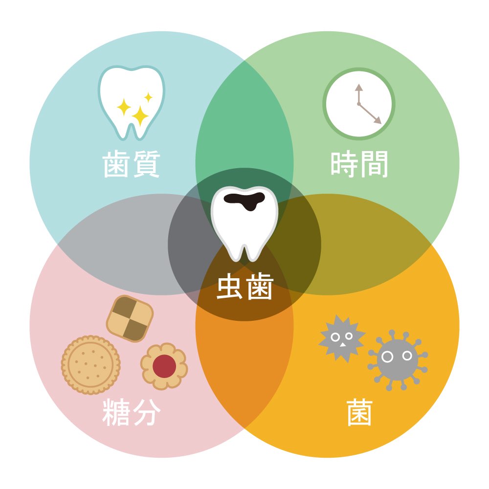 虫歯の進行と全身への影響